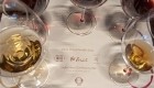 velika vina iz goriških brd alhambra