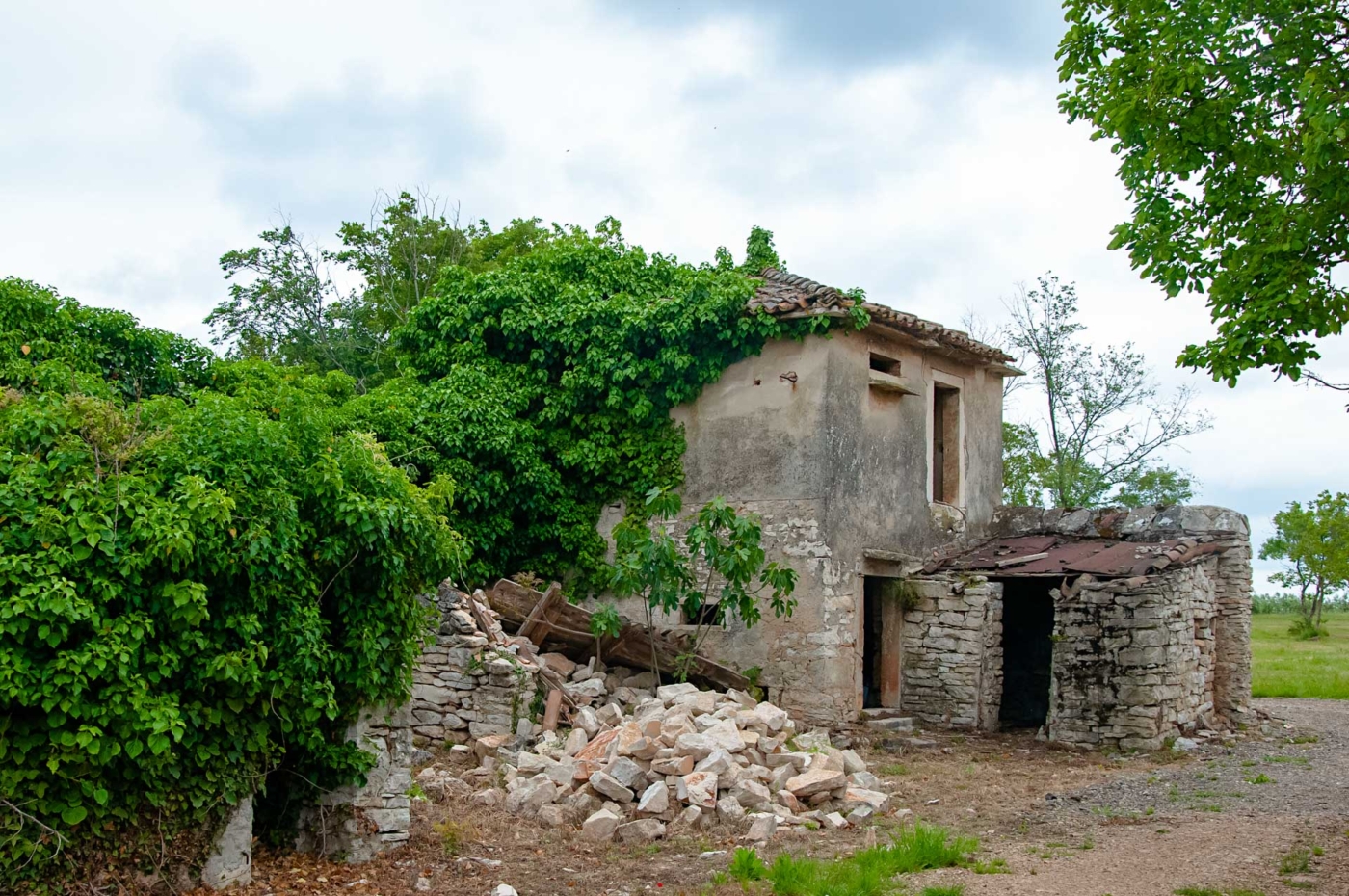 Monte Rosso - golobnjak