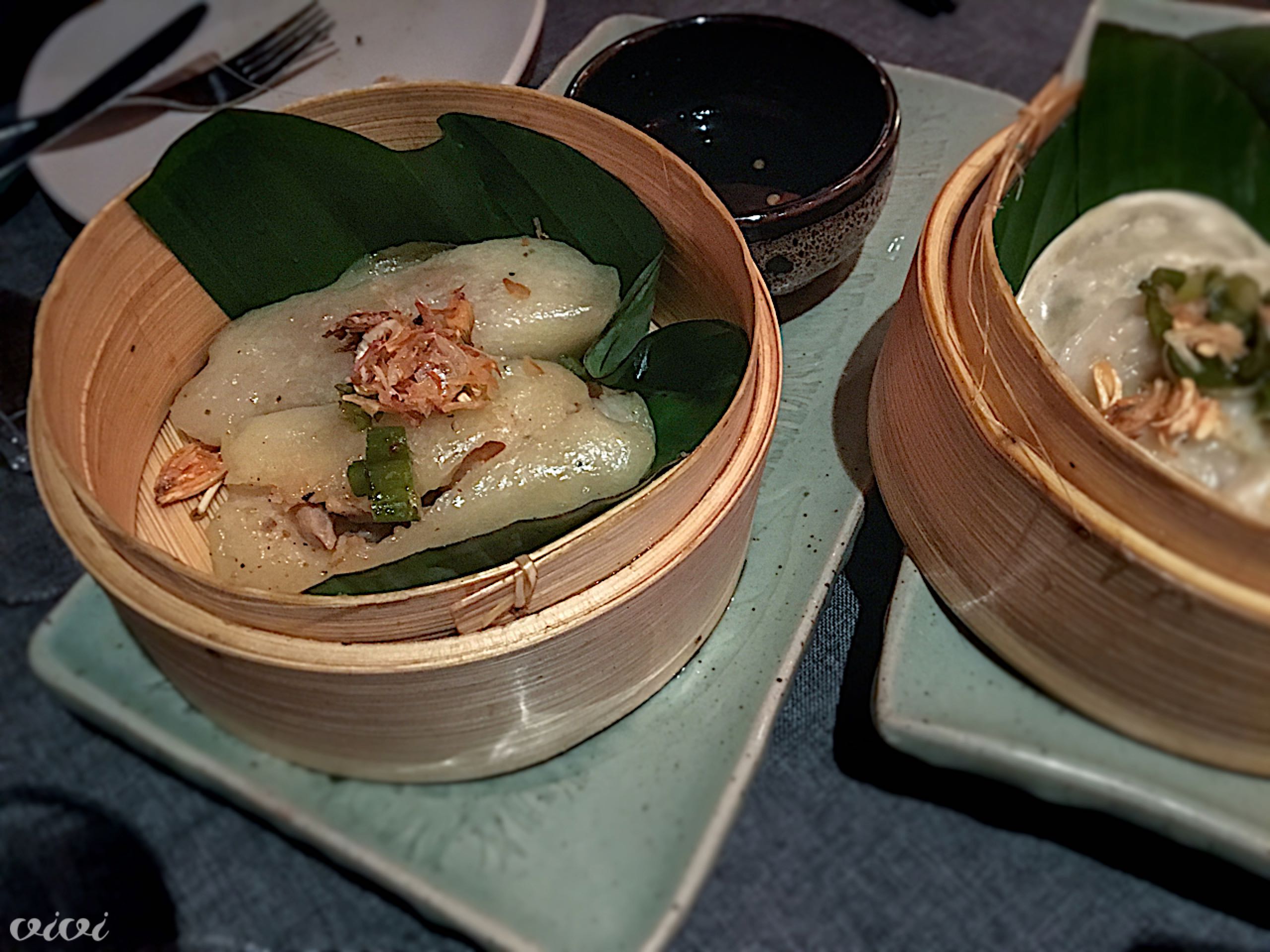 shami gyoza dumplings 22