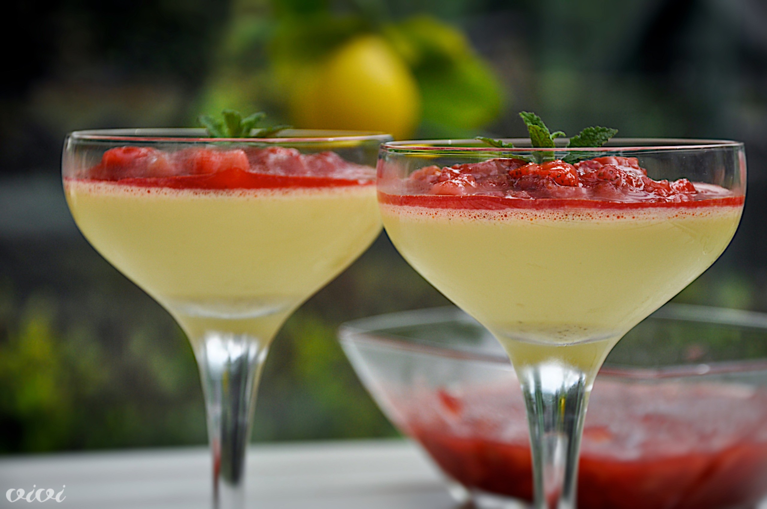 jajcna krema s tonko rabarbara in jagode2