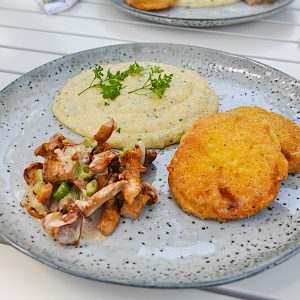 kolerabji zrezki polenta lisicke