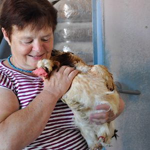 kopuni strohmayer suzy 2