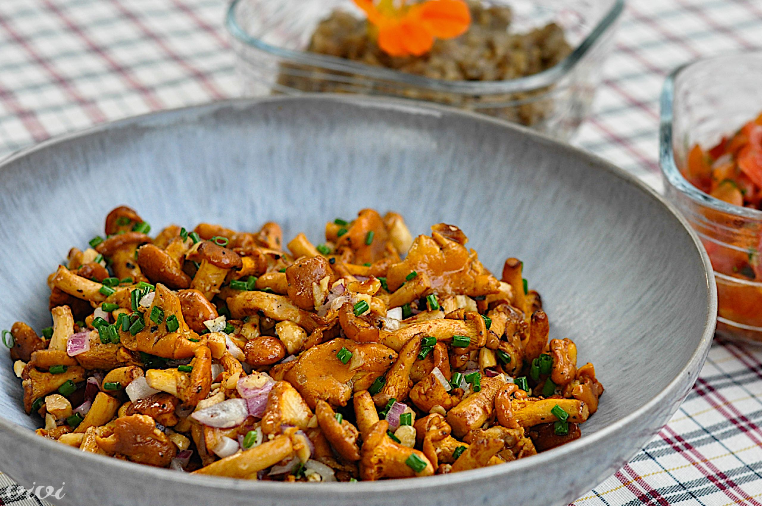 priloge zar lisicke jajcevci paradiznik4