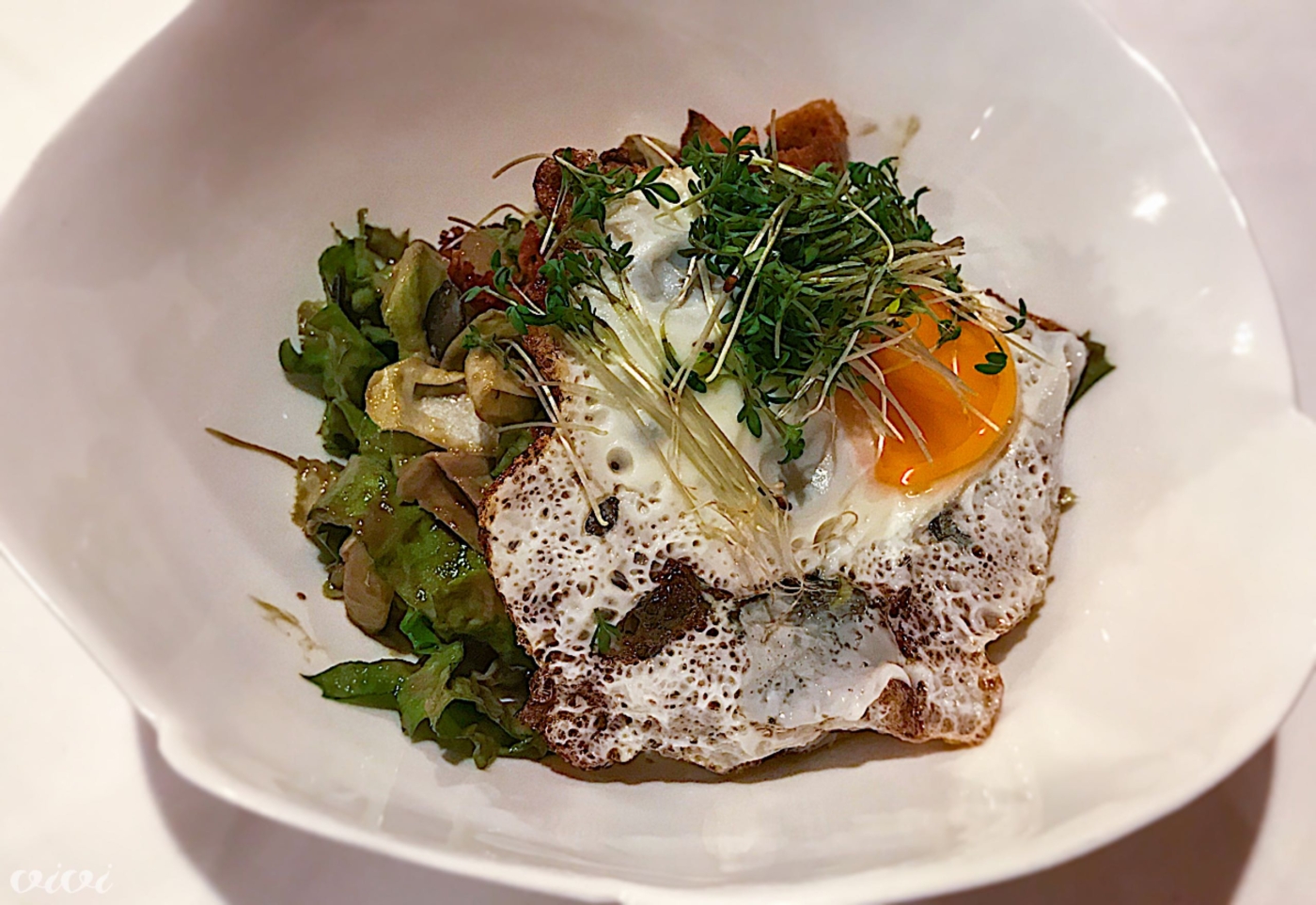 anna schlosskelle endivija2