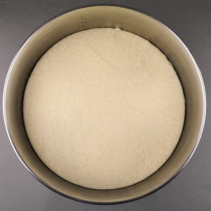 pizza testo vzhajano 1