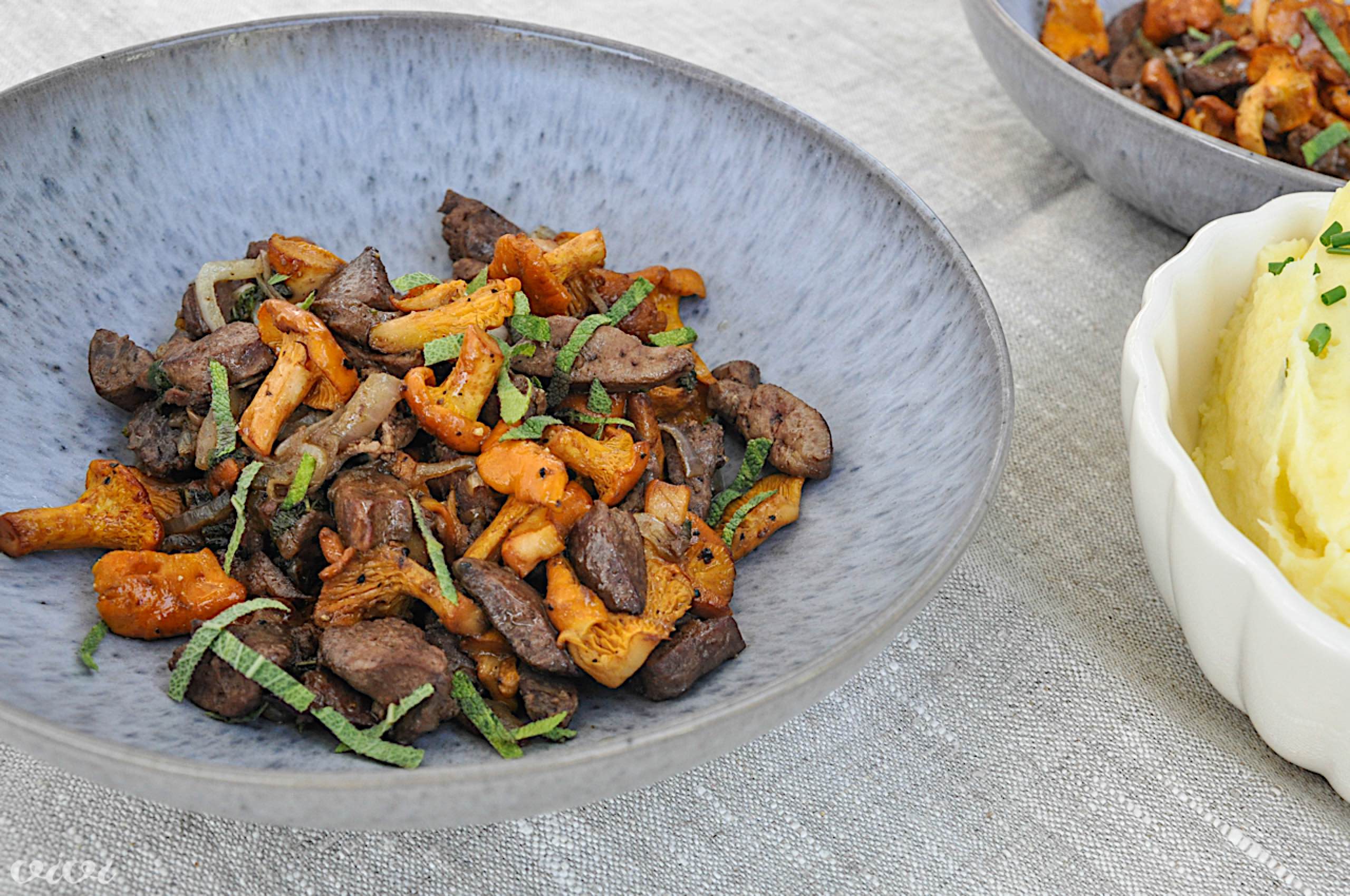 piscancja jetrca lisicke 5