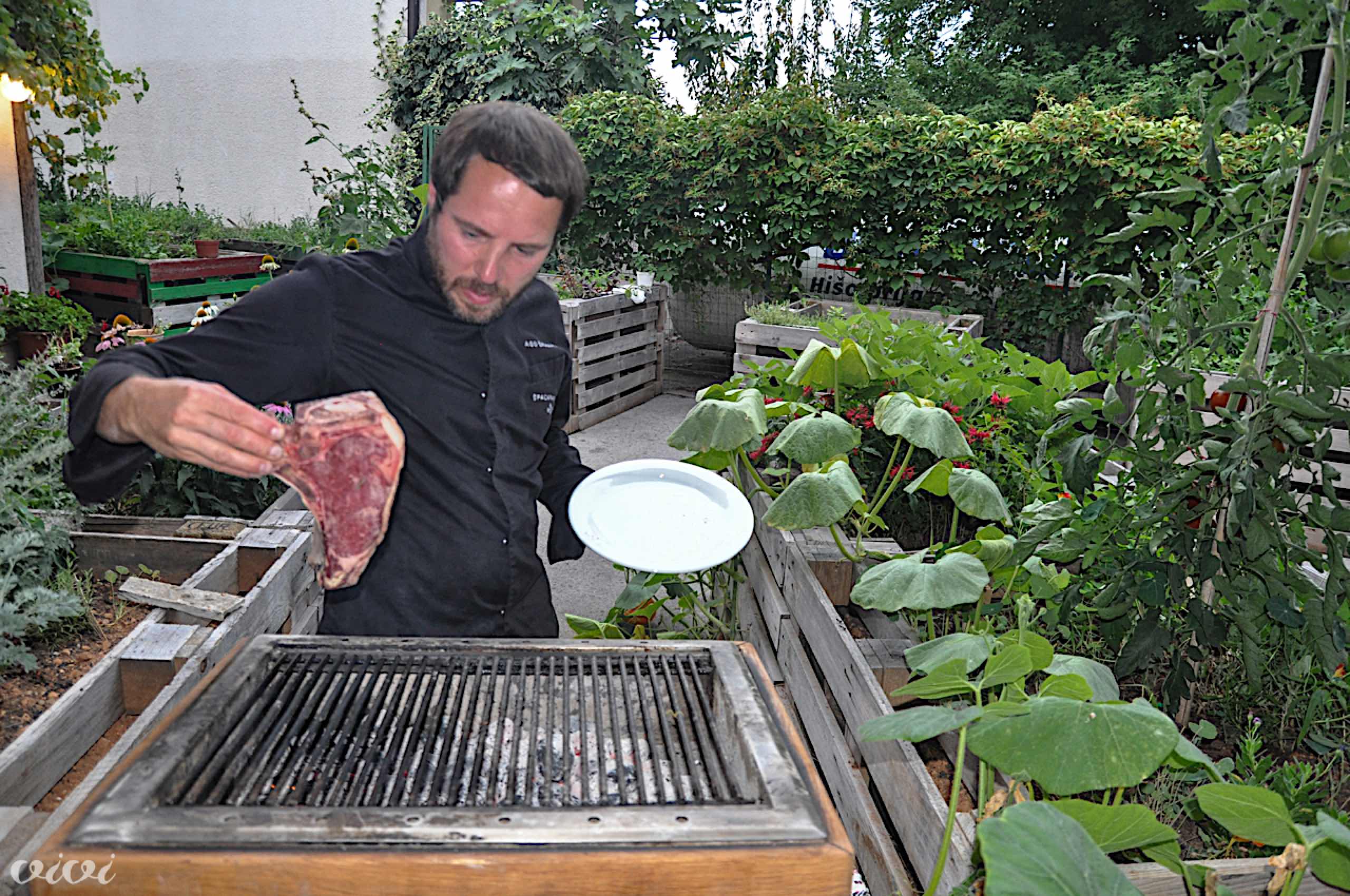 spacapanova ago zar 2