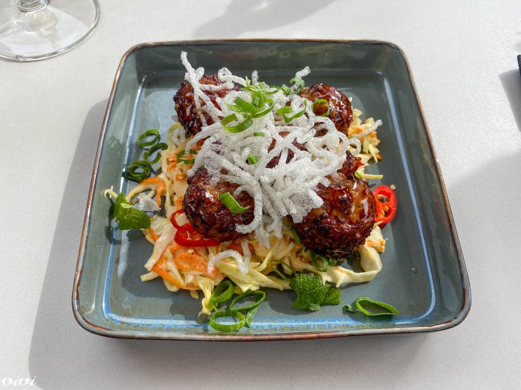 salzburg stein teriyaki mesni cmoki1