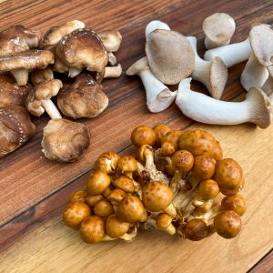 mešane gojene gobe šitake ostrigarji nameko4