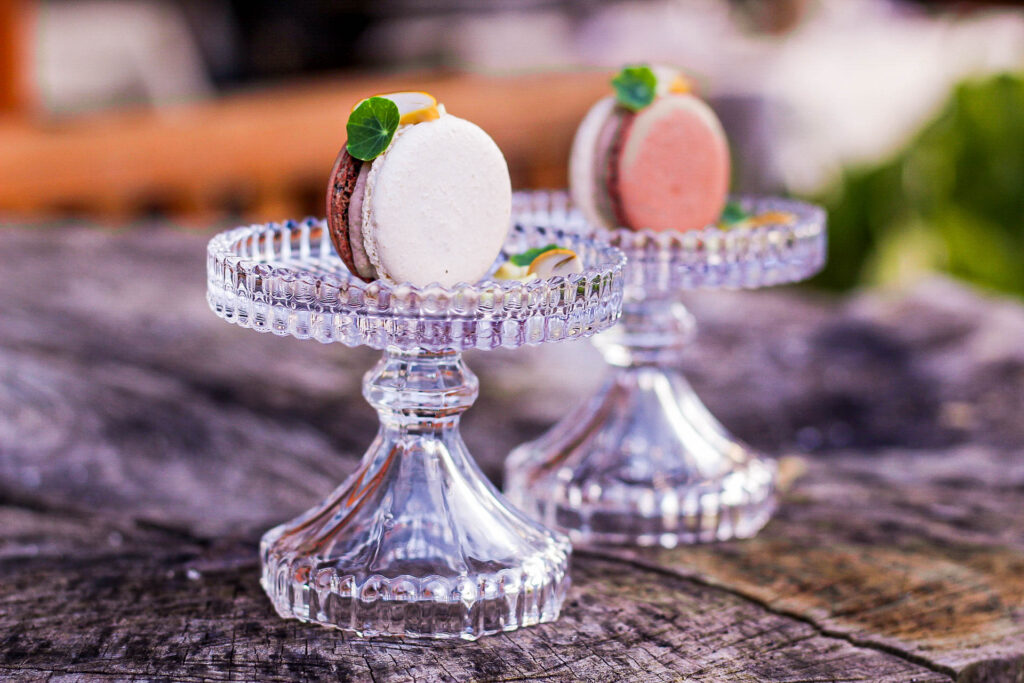 Kapušin, TR23J, pozdrav iz kuhinje