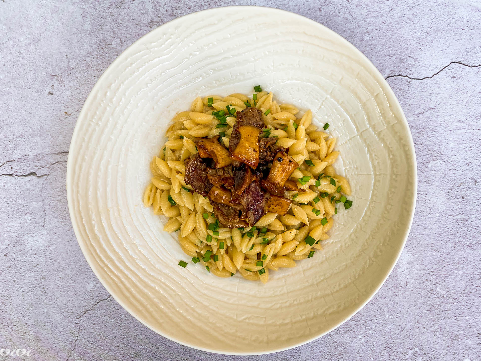 Testenine z vietnamsko česnovo omako, hitro popečena govedina in ostrigarji19