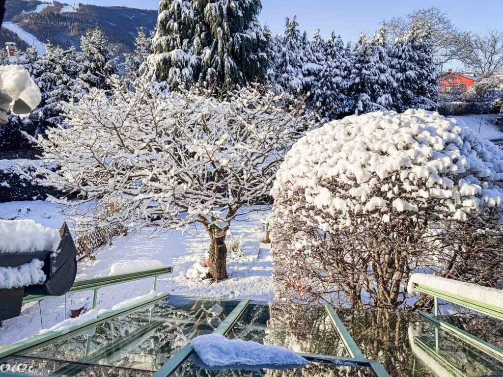 Zima doma, jan24, 5
