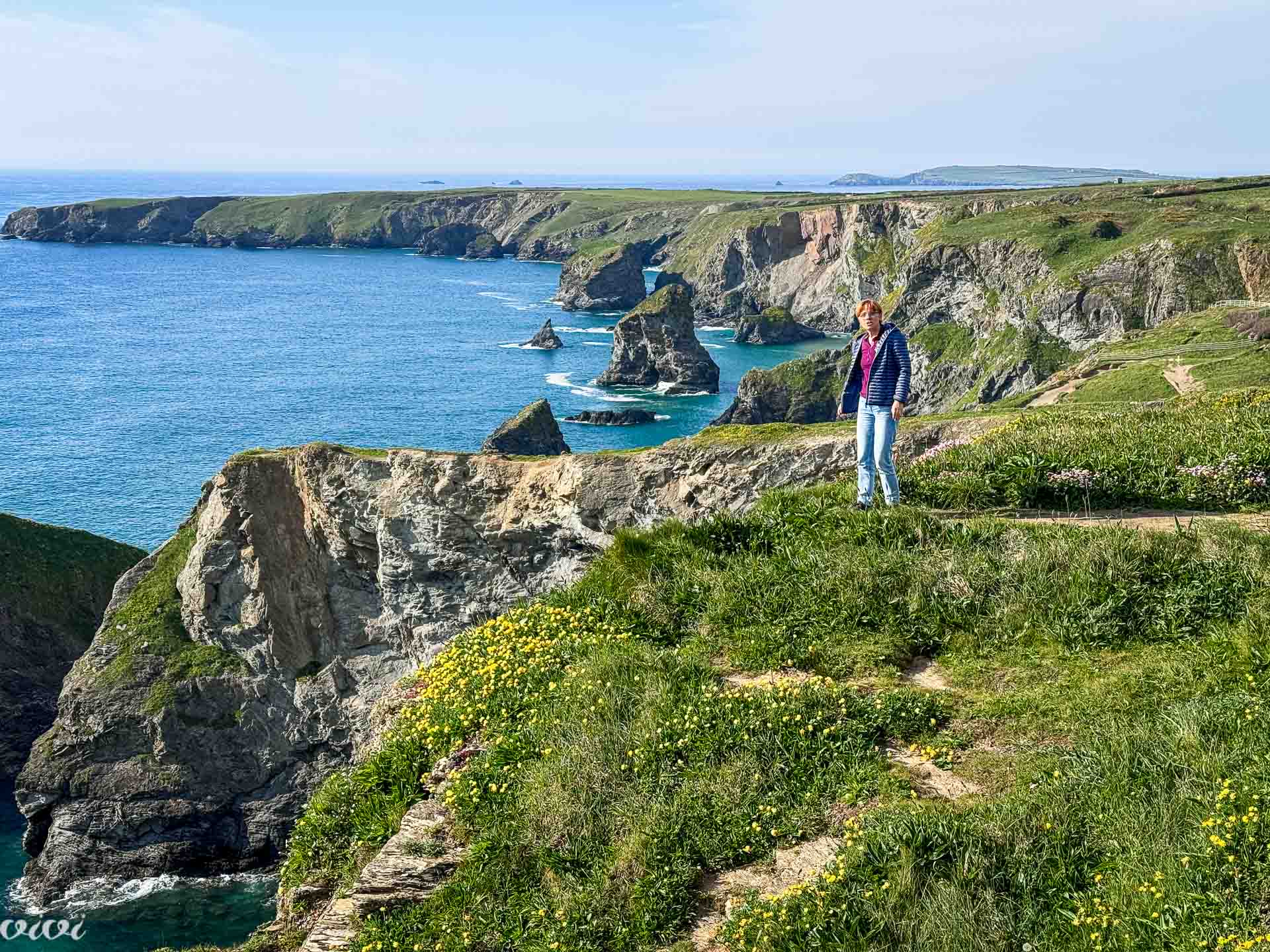 Bedruthan steps, Violeta