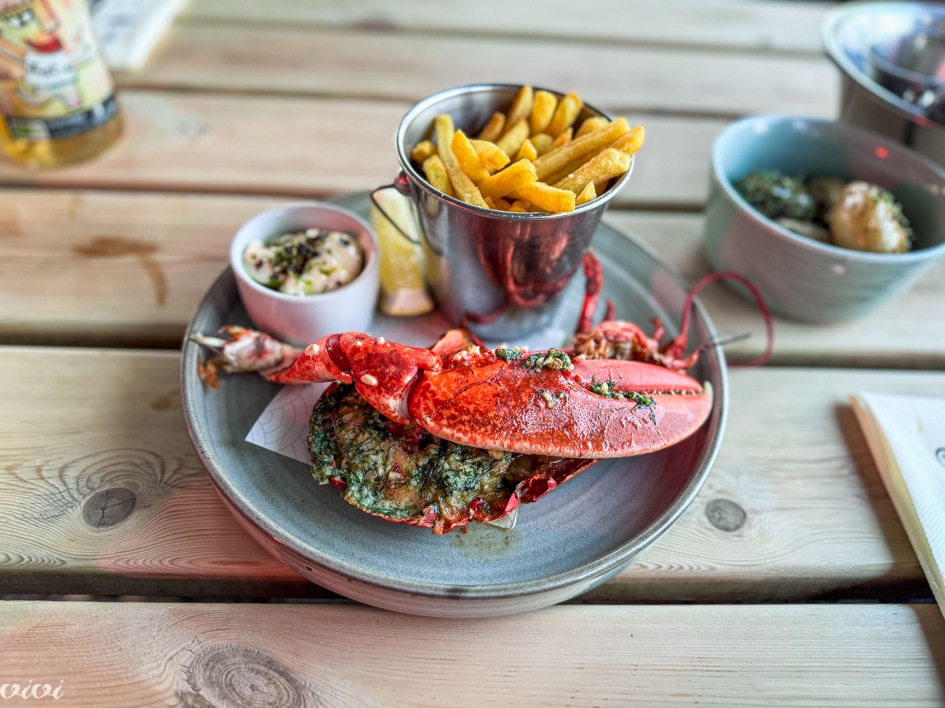 Hooked on the rocks, 24