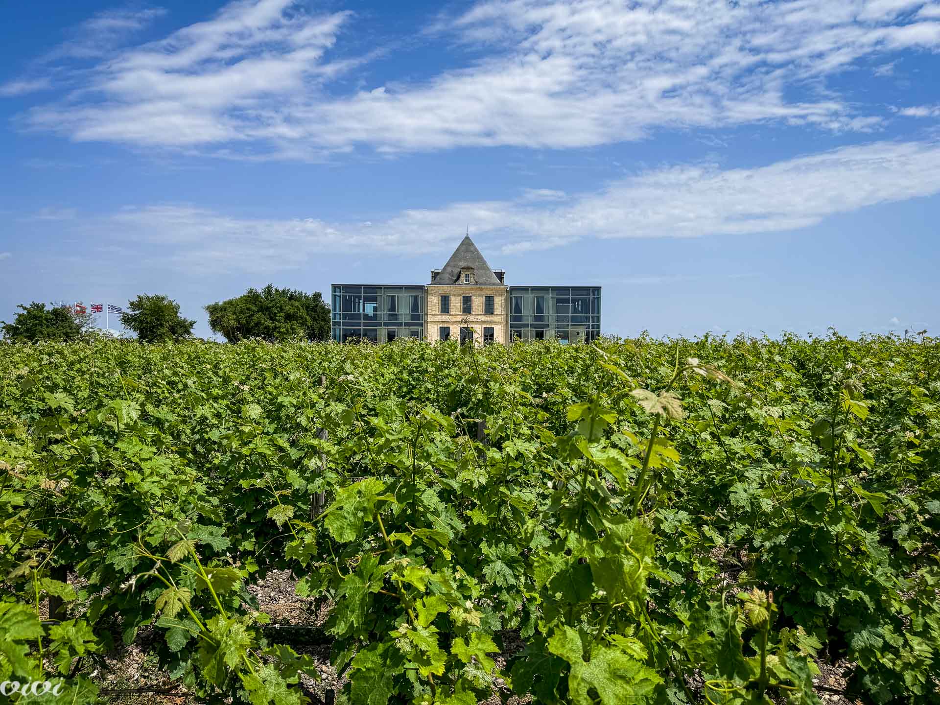 Bordo, chateau 5