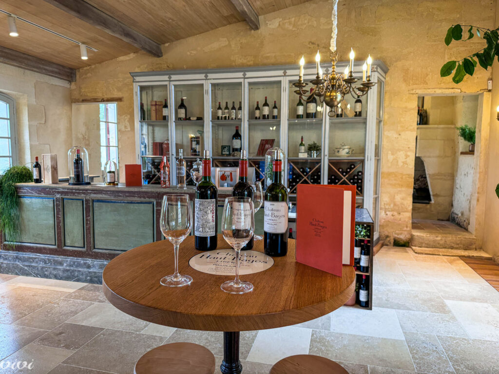 Vinska degustacija v chateauju 2