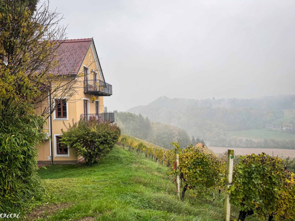 Sattlerhof, Landhaus11