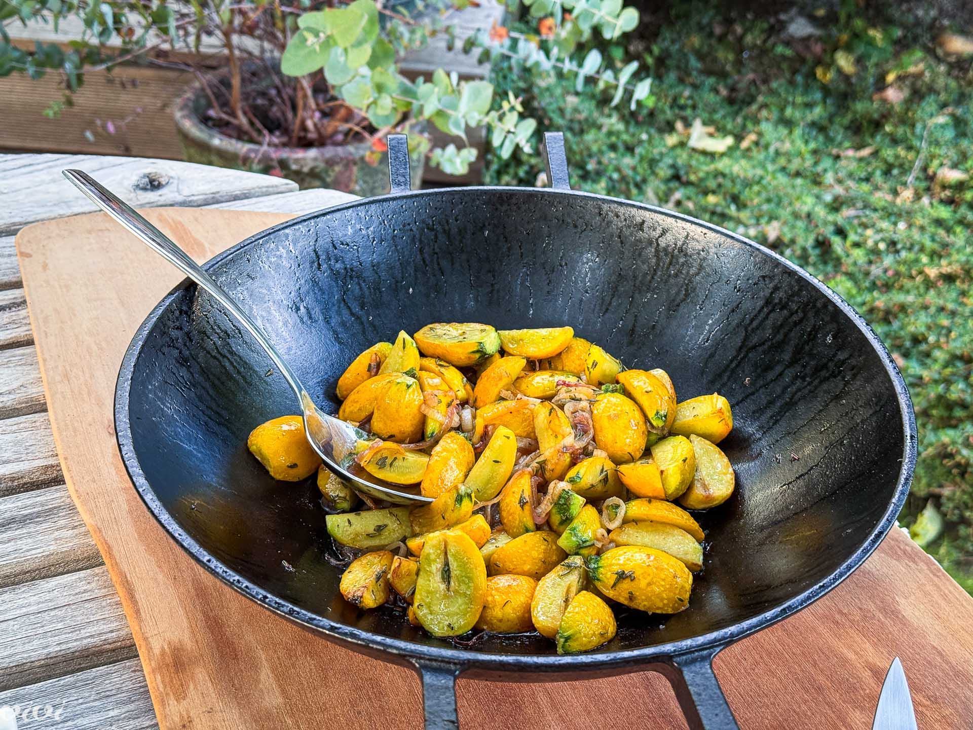Okrogle mini bučke, tropea čebula, zelišča in sojina omaka, na žaru6