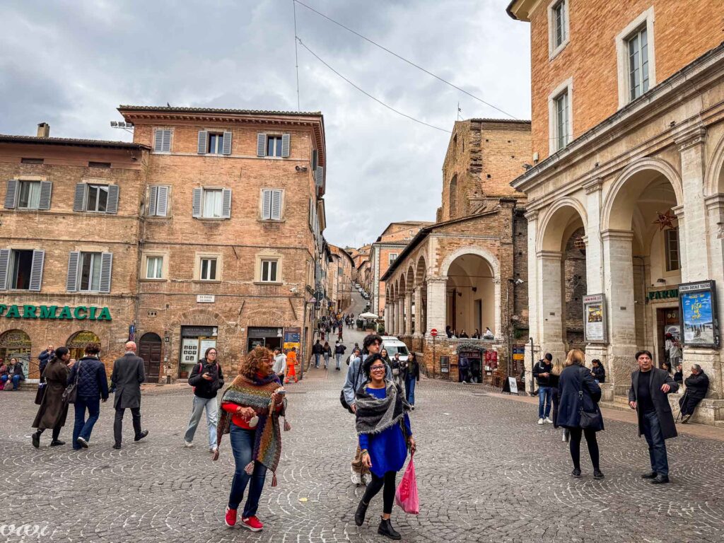 Urbino 2