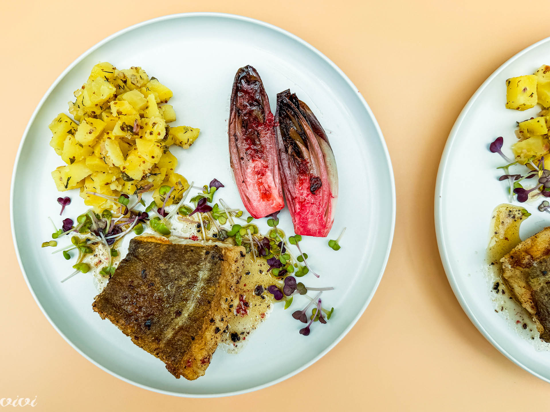 Skrei z začimbami, krompir z vinaigrette in belgijski radič16