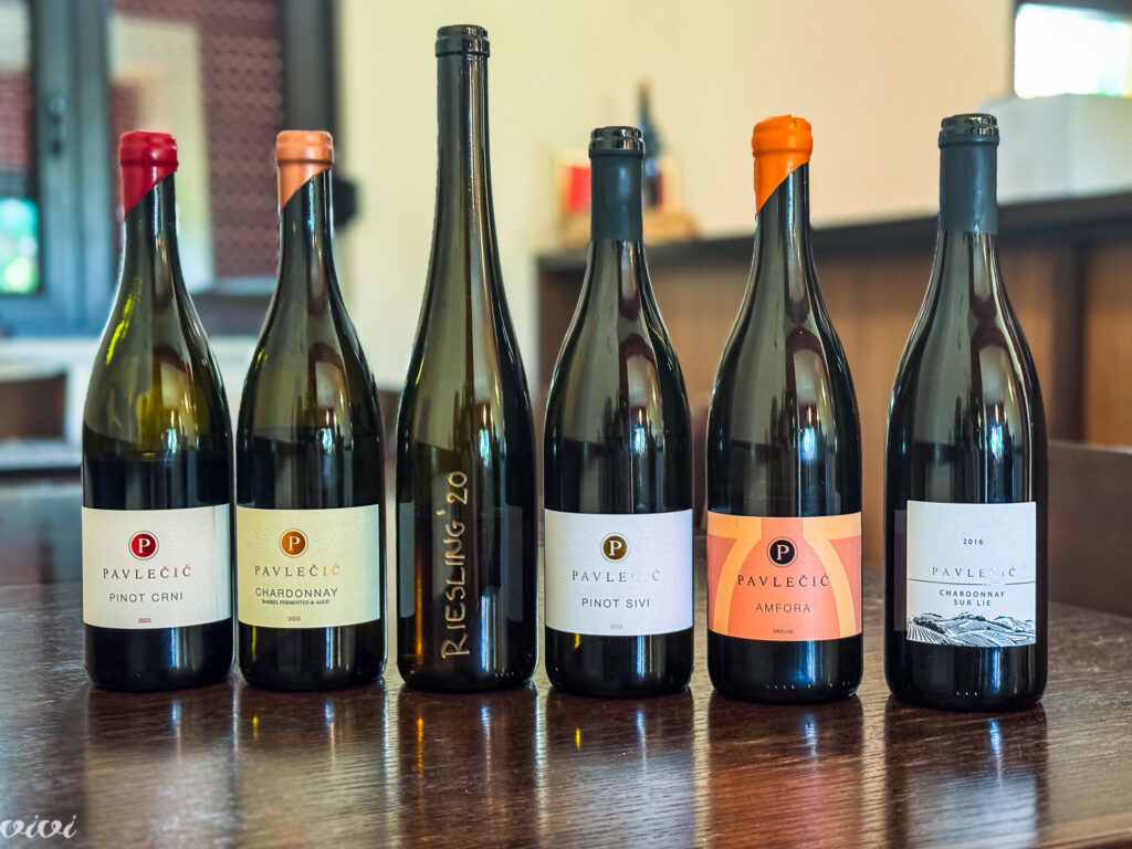 Pavlečič vina, Jastrebarsko, vinska degustacija, vina5 2