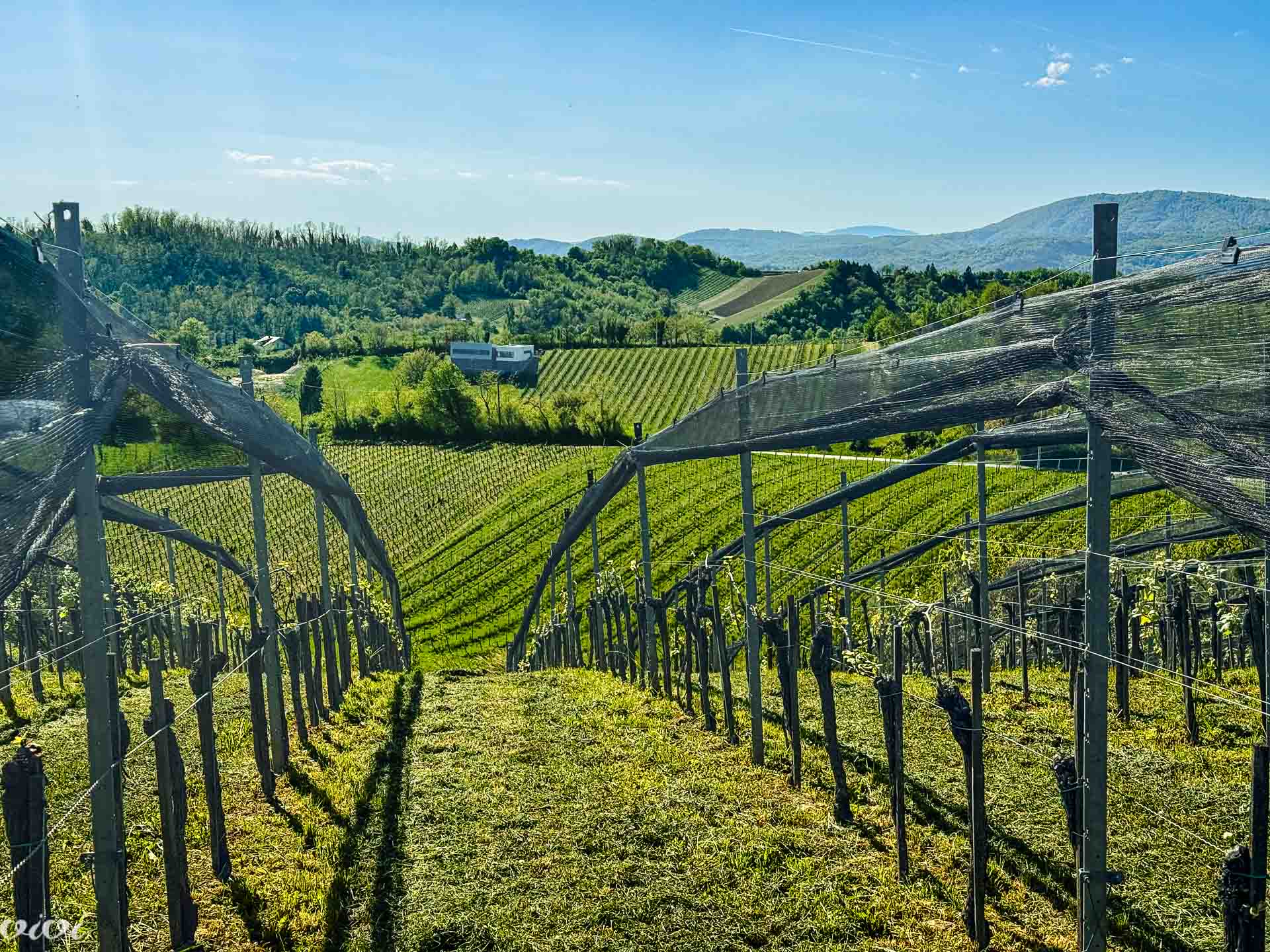 Plešivica, panorama12 2