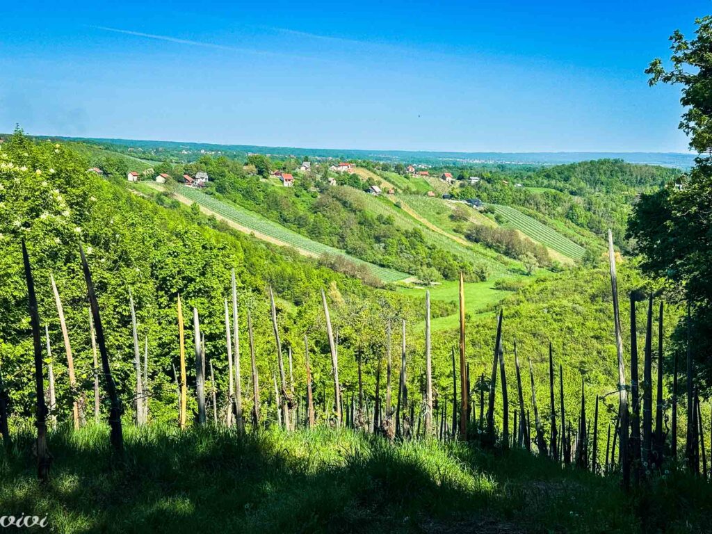 Plešivica, panorama7 2