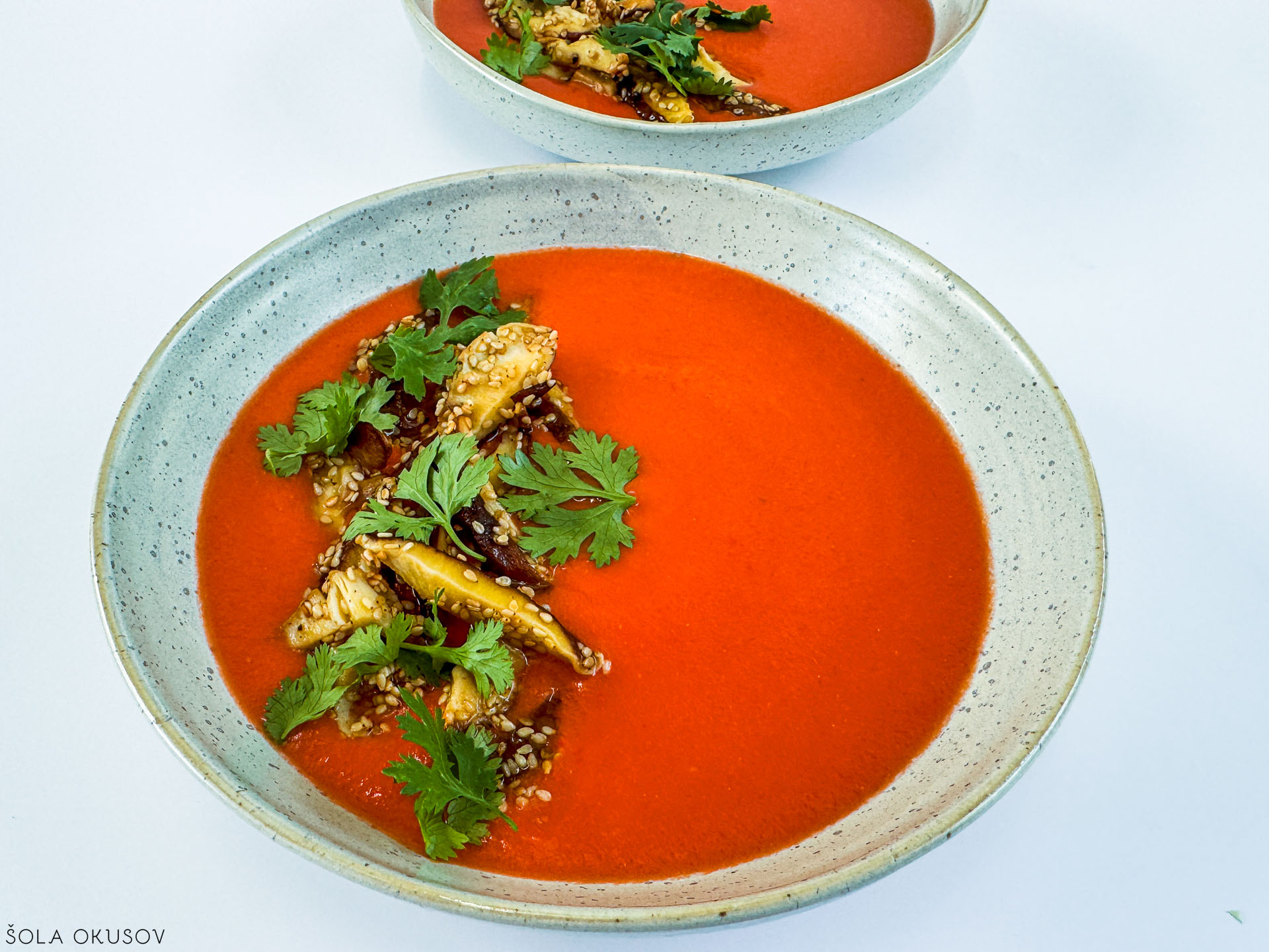 Gazpacho s šitakami22
