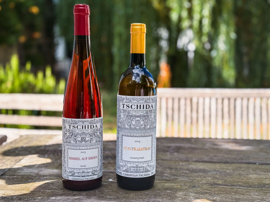 Tschida, vino, v vinogradu8